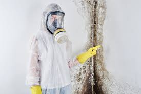 Reliable Camanche Village, CA Mold Inspection Solutions